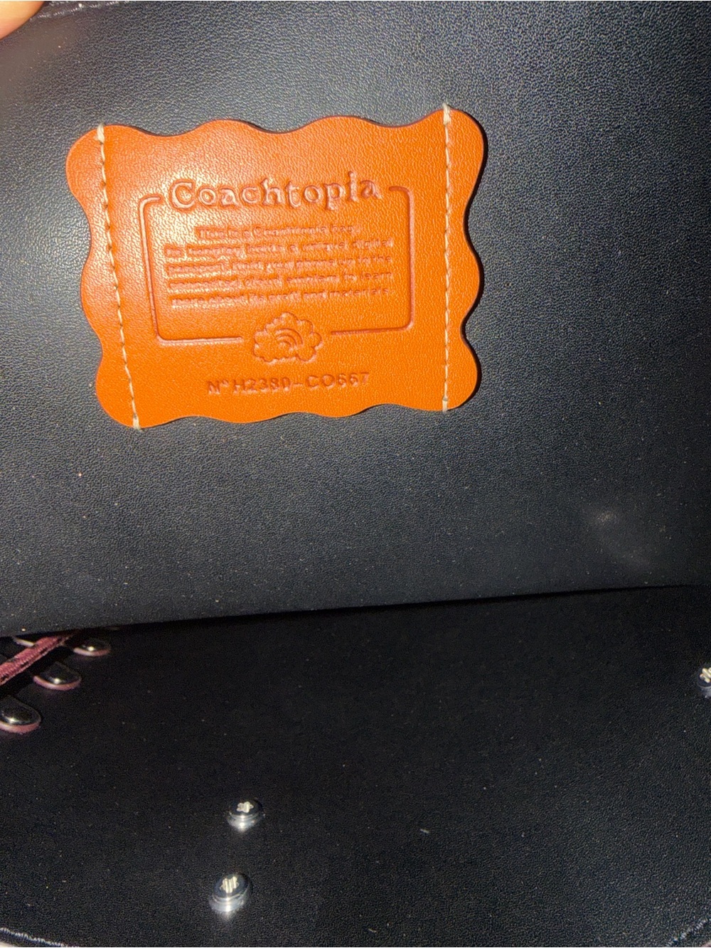 Coachtopia - Picture 3 of 5